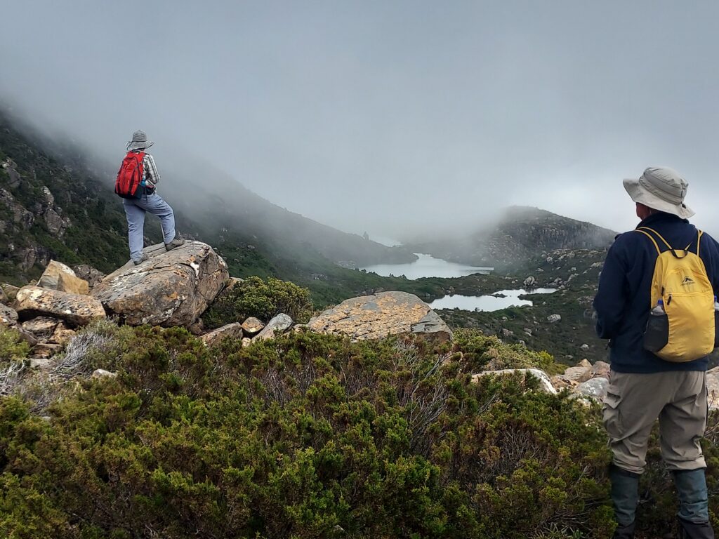 Views over Seal Lake - Mt Field NP